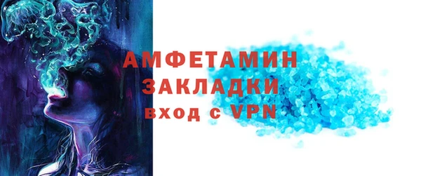 прущие грибы Верея