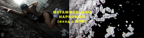 прущие грибы Верея