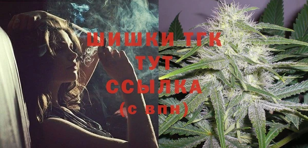 стаф Бугульма