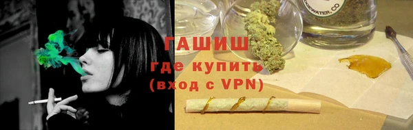 прущие грибы Верея