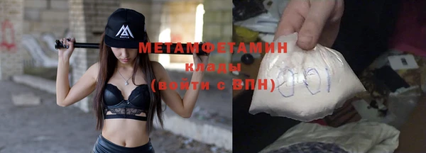 прущие грибы Верея