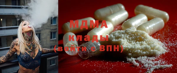 прущие грибы Верея