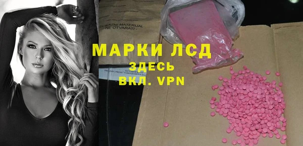 прущие грибы Верея