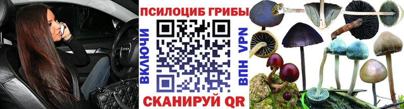 Псилоцибиновые грибы мицелий  Купить где  Волосово 